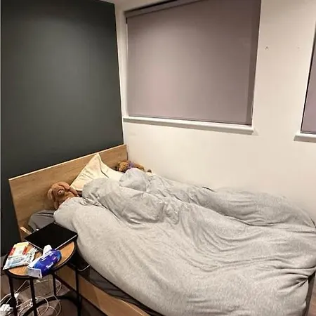 Good Flat شقة بريستول